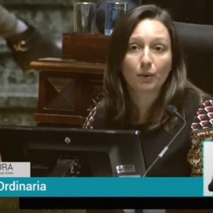 ¿Quién es la legisladora que se abstuvo de votar la Ley?