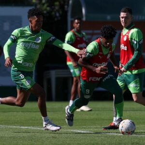 ¿Cómo llega Palmeiras para recibir a San Lorenzo?